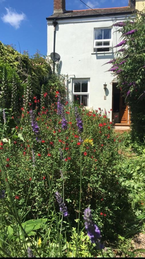 1 Laurel Cottages Dawlish Luaran gambar