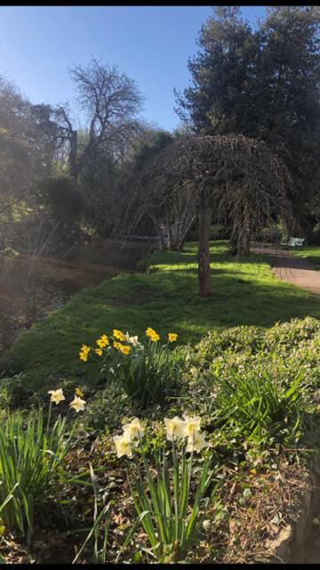 1 Laurel Cottages Dawlish Luaran gambar